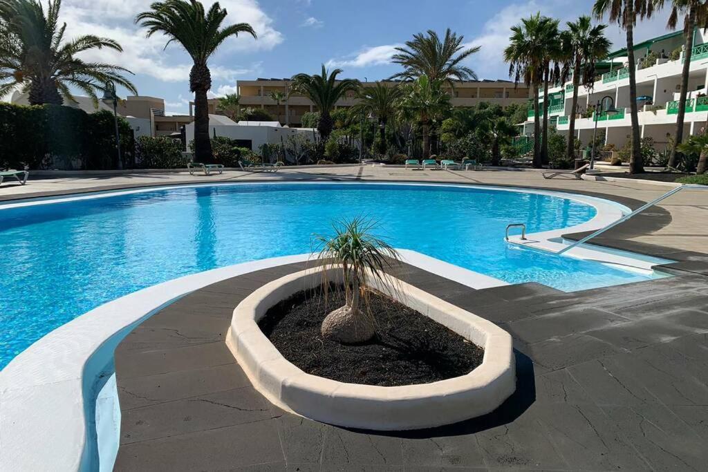 Apartamento Bastian Casas Verdes Costa Teguise Eksteriør billede